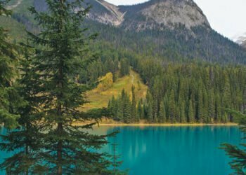 Enjoy Warm Weather in Atlanta’s Outdoors