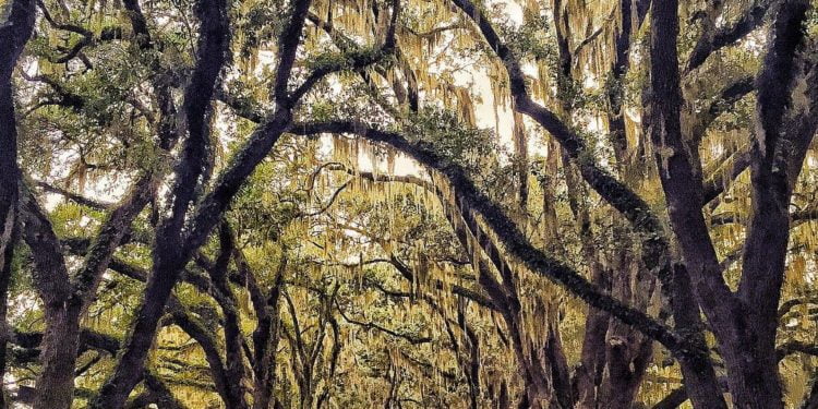 Five Summer Getaways for the Outdoors Lover