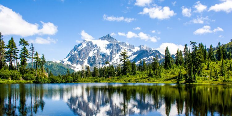 10 Reasons You Need to Visit Washington National Parks