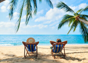 The Chew: Summer Vacation — Grab Fido and Go