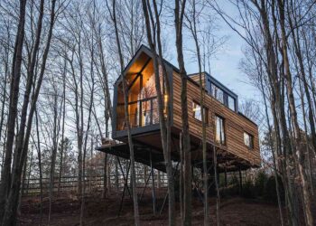 Plan a weekend experience to the Tree house lodge in Jaipur and head in the direction of the character