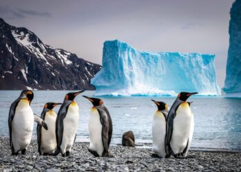 5 Ways to Visit Antarctica, From Photography Journeys to Luxury Ships