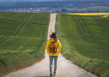 Top five journey pictures pointers