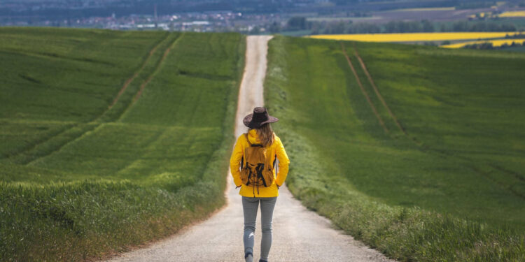 Top five journey pictures pointers