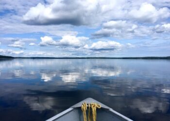 Exploring the Beauty of Sydney Lake